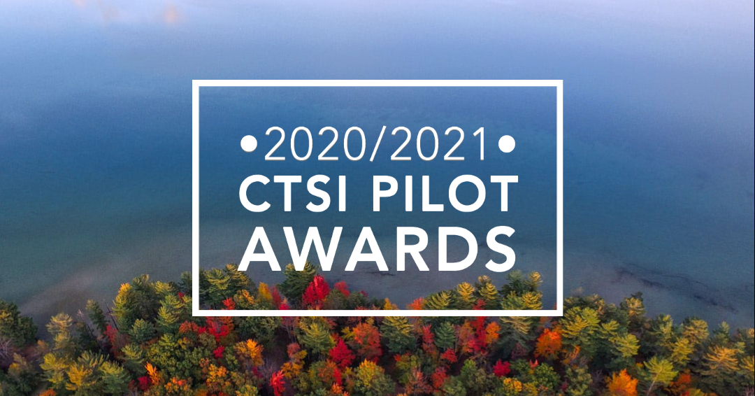 Pilot Awards 2020-2021